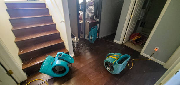Best Water damage restoration near me  in Whitewater, KS
