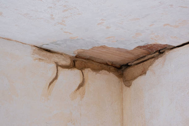 Best Water damage restoration near me  in Whitewater, KS
