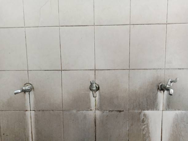 Best 24-hour water damage restoration  in Whitewater, KS