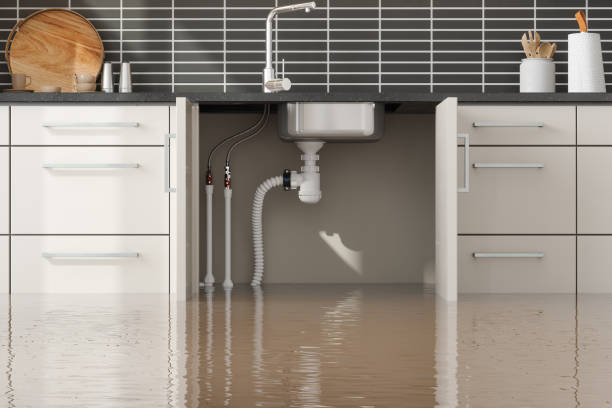 Best Ceiling water damage repair  in Whitewater, KS