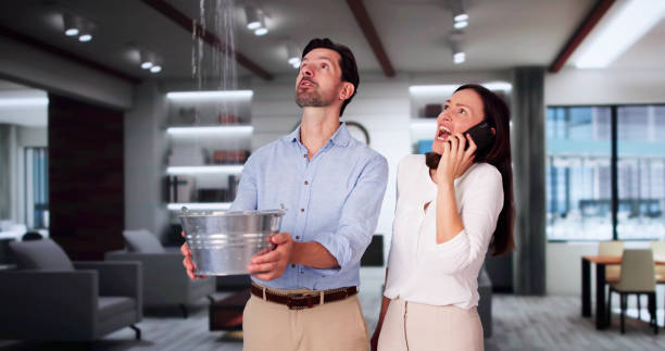 Best Carpet water damage restoration  in Whitewater, KS